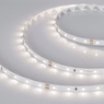 Лента светодиодная RT-A60-8mm 24V Day4000 (4.8 W/m, IP20, 2835, 50m) (Arlight, Открытый)