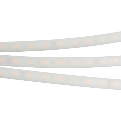 Лента светодиодная RTW 2-5000PW 12V White6000 2x (5060, 300 LED, LUX) (Arlight, 14.4 Вт/м, IP66)