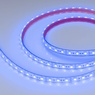 Лента светодиодная герметичная RTW-PFS-B60-13mm 12V Blue (14.4 W/m, IP68, 5060, 5m) (Arlight, 14.4 Вт/м, IP68)