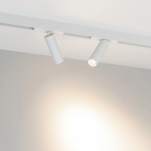Светильник MAG-SPOT-25-R120-12W Day4000 (WH, 30 deg, 24V) (Arlight, IP20 Металл, 3 года)