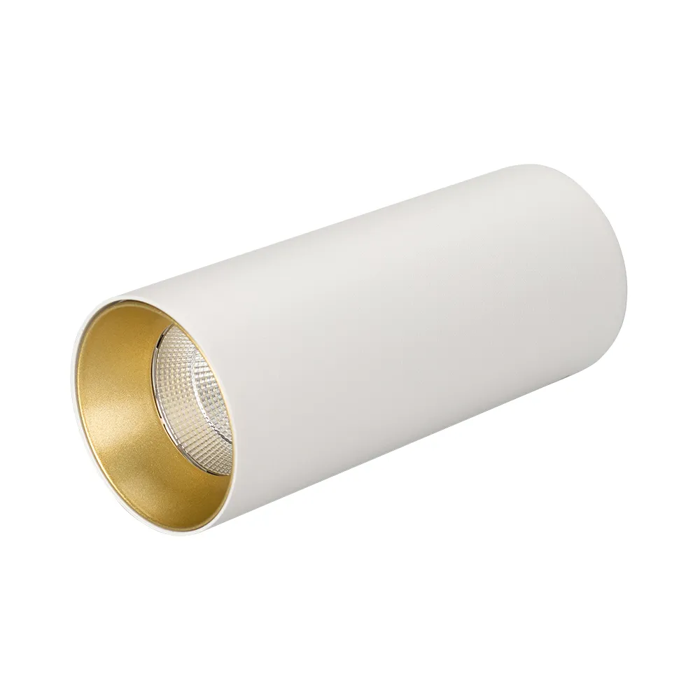 Светильник SP-POLO-SURFACE-R65-8W Warm3000 (WH-GD, 40 deg) (Arlight, IP20 Металл, 3 года)