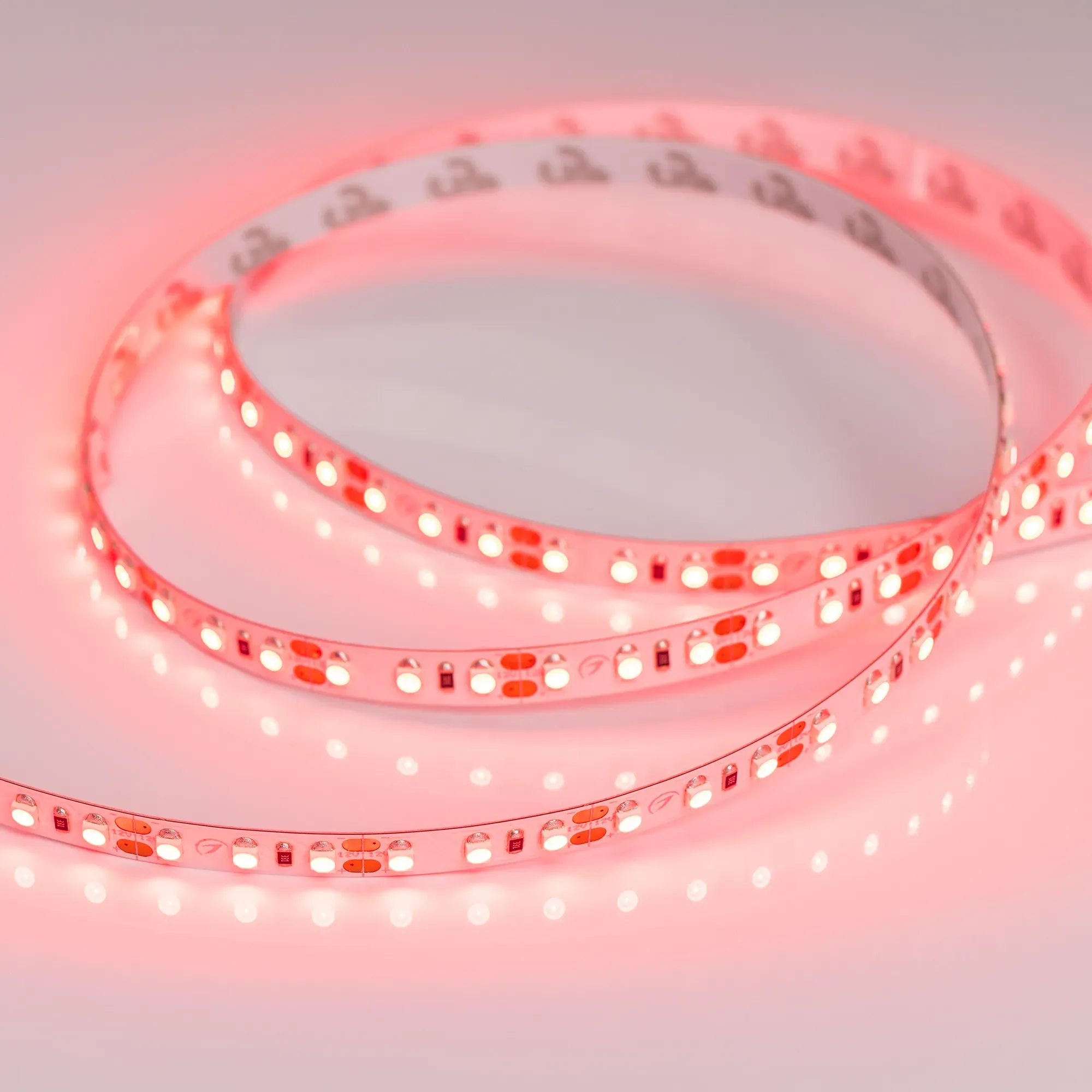 Лента светодиодная RT-A120-8mm 12V Red (9.6 W/m, IP20, 2835, 5m) (Arlight, 9.6 Вт/м, IP20)